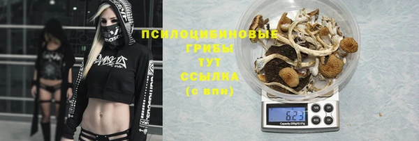 экстази Арсеньев
